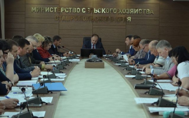 Владимир Ситников: Задача министерства – помогать, а не данные собирать Владимир Ситников: Задача министерства – помогать, а не данные собирать