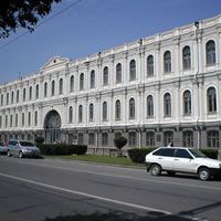 Редкого южного слона доставят в ставропольский музей Редкого южного слона доставят в ставропольский музей