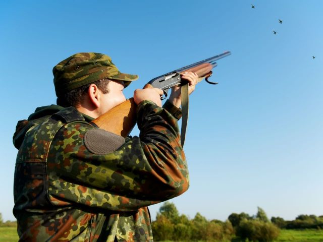 Охотников Ставрополья ждёт новый порядок распределения разрешений на дичь Охотников Ставрополья ждёт новый порядок распределения разрешений на дичь