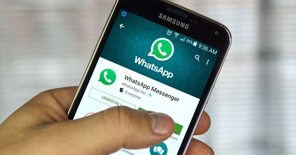 Ставропольские пользователи жалуются на плохую работу WhatsApp Ставропольские пользователи жалуются на плохую работу WhatsApp