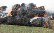 Пожарные 12 часов тушили животноводческий комплекс в Ипатовском районе Пожарные 12 часов тушили животноводческий комплекс в Ипатовском районе
