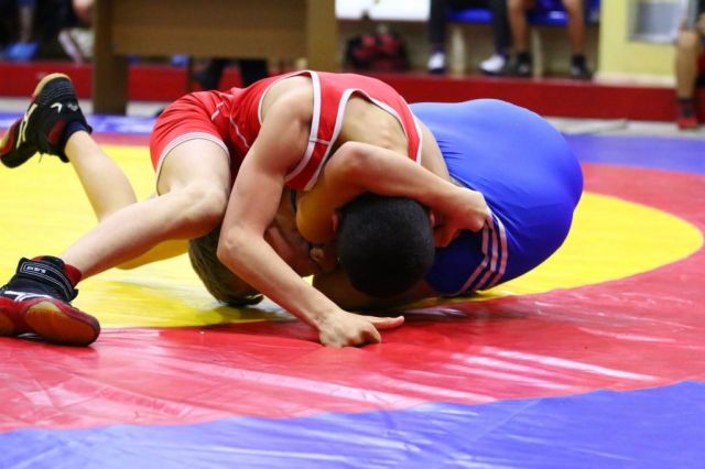 Борцы из Ставрополя одержали победу на чемпионате края Борцы из Ставрополя одержали победу на чемпионате края