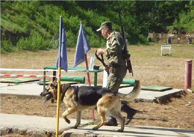 Ставропольская команда победила в кинологическом конкурсе «Верный друг» Ставропольская команда победила в кинологическом конкурсе «Верный друг»