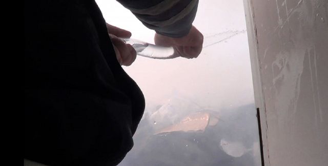 Ставропольские сотрудники Госавтоинспекции помогли потушить пожар в цветочном магазине Ставропольские сотрудники Госавтоинспекции помогли потушить пожар в цветочном магазине