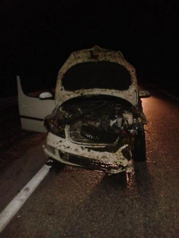 На Ставрополье водитель врезался в стадо овец, пострадала пассажирка На Ставрополье водитель врезался в стадо овец, пострадала пассажирка