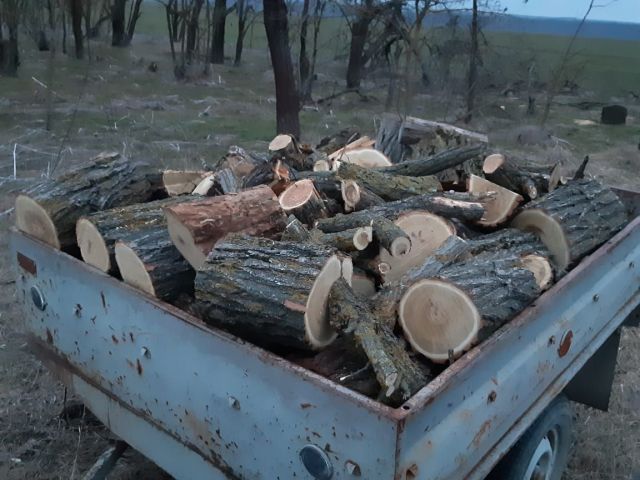 � �������������� ���� ������� ��������� ������ 10 ����� ������