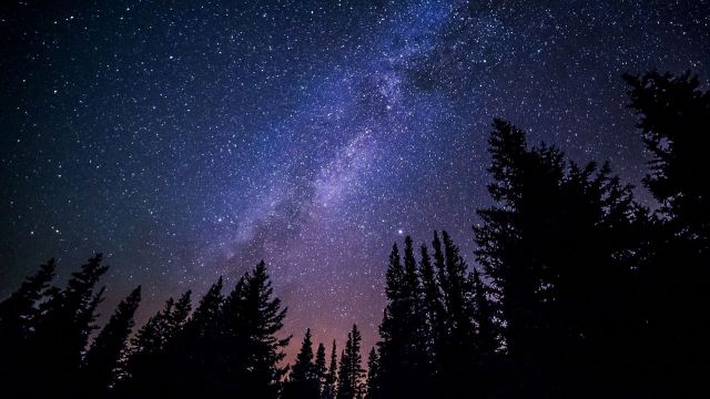 Ночью ставропольцы смогут увидеть самый большой звездопад в году Ночью ставропольцы смогут увидеть самый большой звездопад в году