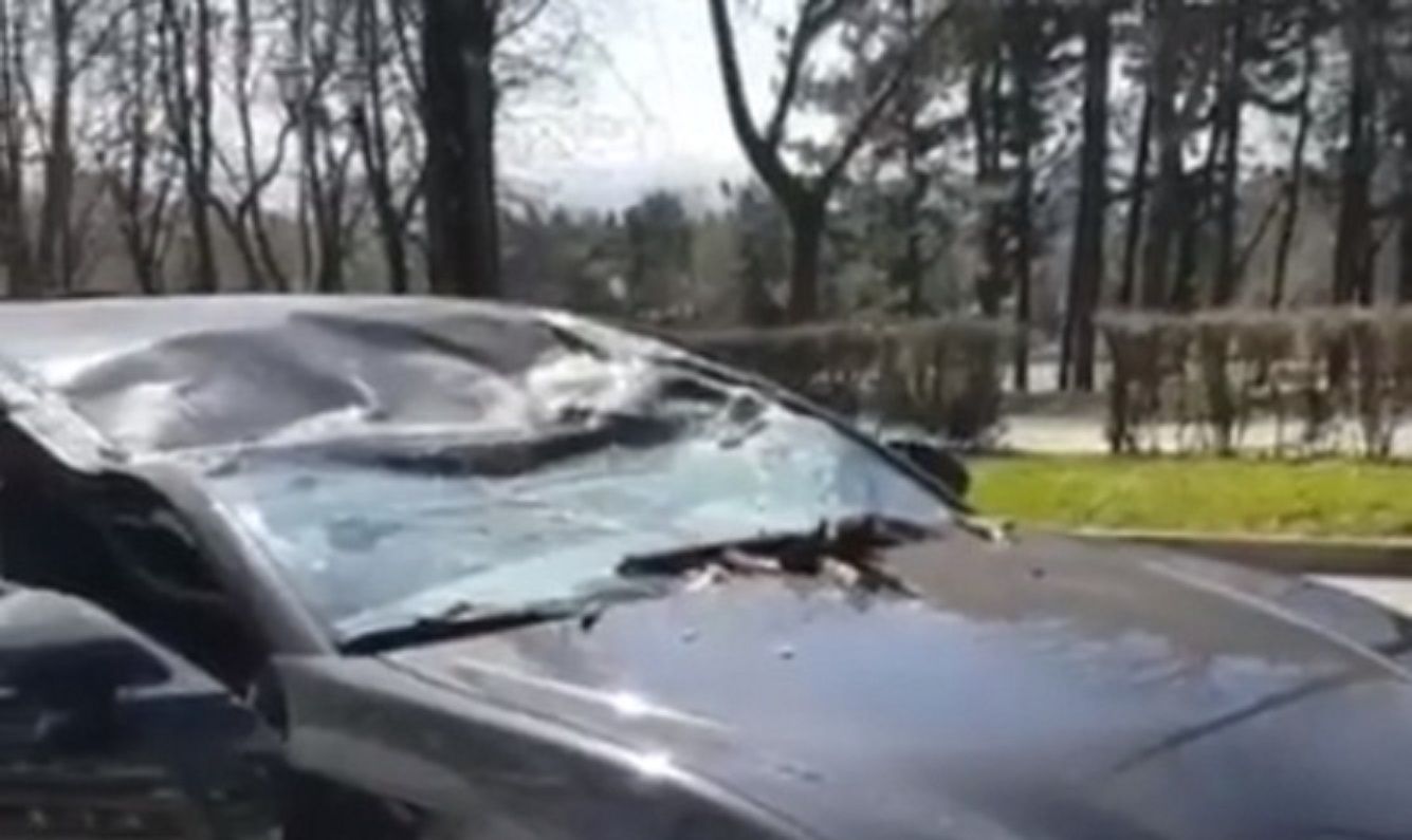 В Пятигорске на машину рухнуло дерево, пострадала девушка В Пятигорске на машину рухнуло дерево, пострадала девушка