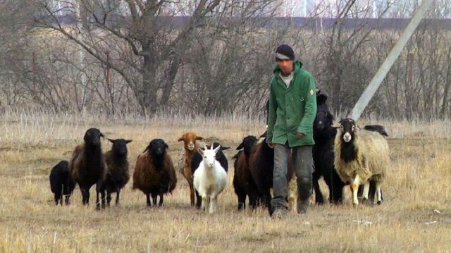 В Ставропольском крае мужчину осудят за мужеложество и использование рабского труда В Ставропольском крае мужчину осудят за мужеложество и использование рабского труда