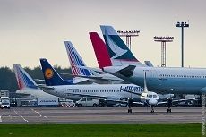 В аэропорту Минвод откроется необычная выставка В аэропорту Минвод откроется необычная выставка