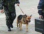 Из-за подозрительного свертка в Кисловодске остановили поезда Из-за подозрительного свертка в Кисловодске остановили поезда