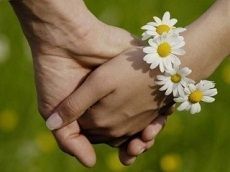 На Ставрополье с размахом отметят День семьи, любви и верности На Ставрополье с размахом отметят День семьи, любви и верности