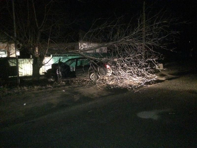 На Ставрополье пьяный подросток на авто врезался в дерево На Ставрополье пьяный подросток на авто врезался в дерево