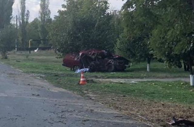 На Ставрополье при столкновении машины с деревом погибла пожилая женщина На Ставрополье при столкновении машины с деревом погибла пожилая женщина