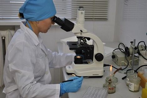 Минздрав Ставрополья предупреждает об опасности заражения лептоспирозом Минздрав Ставрополья предупреждает об опасности заражения лептоспирозом