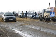 Жители Красногвардейского в течение года не имеют права заводить свиней Жители Красногвардейского в течение года не имеют права заводить свиней