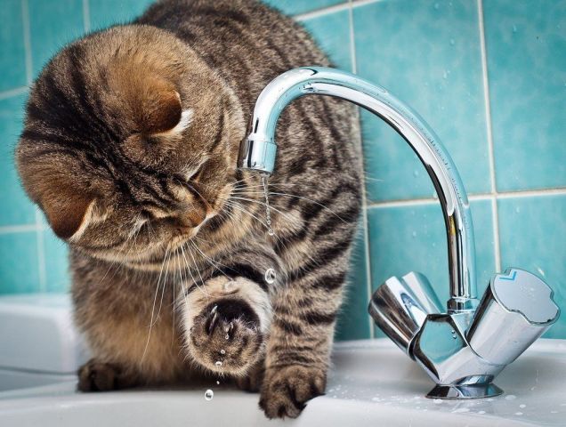 Из-за порыва трубы в Ставрополе без воды остались более 9 тысяч жителей Михайловска Из-за порыва трубы в Ставрополе без воды остались более 9 тысяч жителей Михайловска