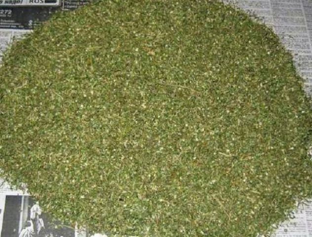 На Ставрополье у подростка обнаружили два килограмма марихуаны На Ставрополье у подростка обнаружили два килограмма марихуаны