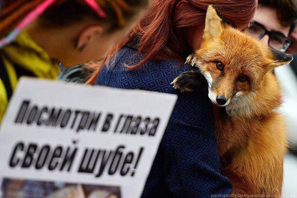 В Ставрополе 4 октября пройдёт акция «Животные — не одежда» В Ставрополе 4 октября пройдёт акция «Животные — не одежда»
