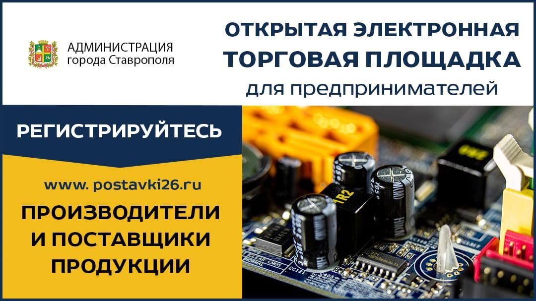 Более 650 компаний развивают бизнес при помощи ставропольской платформы
