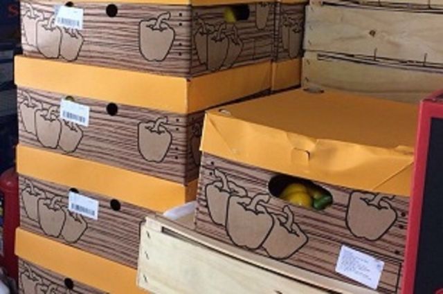 200 килограммов перца сожгли в Ставропольском крае 200 килограммов перца сожгли в Ставропольском крае