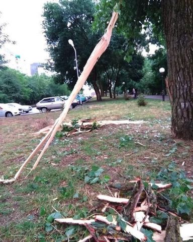 Из-за сильного ветра и грозы в Ставрополе 23 июня случился ряд происшествий Из-за сильного ветра и грозы в Ставрополе 23 июня случился ряд происшествий
