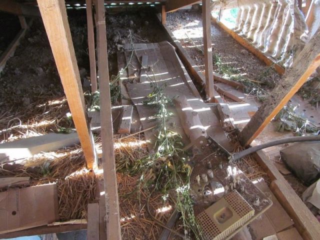 Житель Ставрополья выращивал во дворе дома марихуану Житель Ставрополья выращивал во дворе дома марихуану