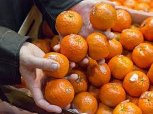 На Ставрополье сожгли 320 килограммов санкционных мандаринов На Ставрополье сожгли 320 килограммов санкционных мандаринов