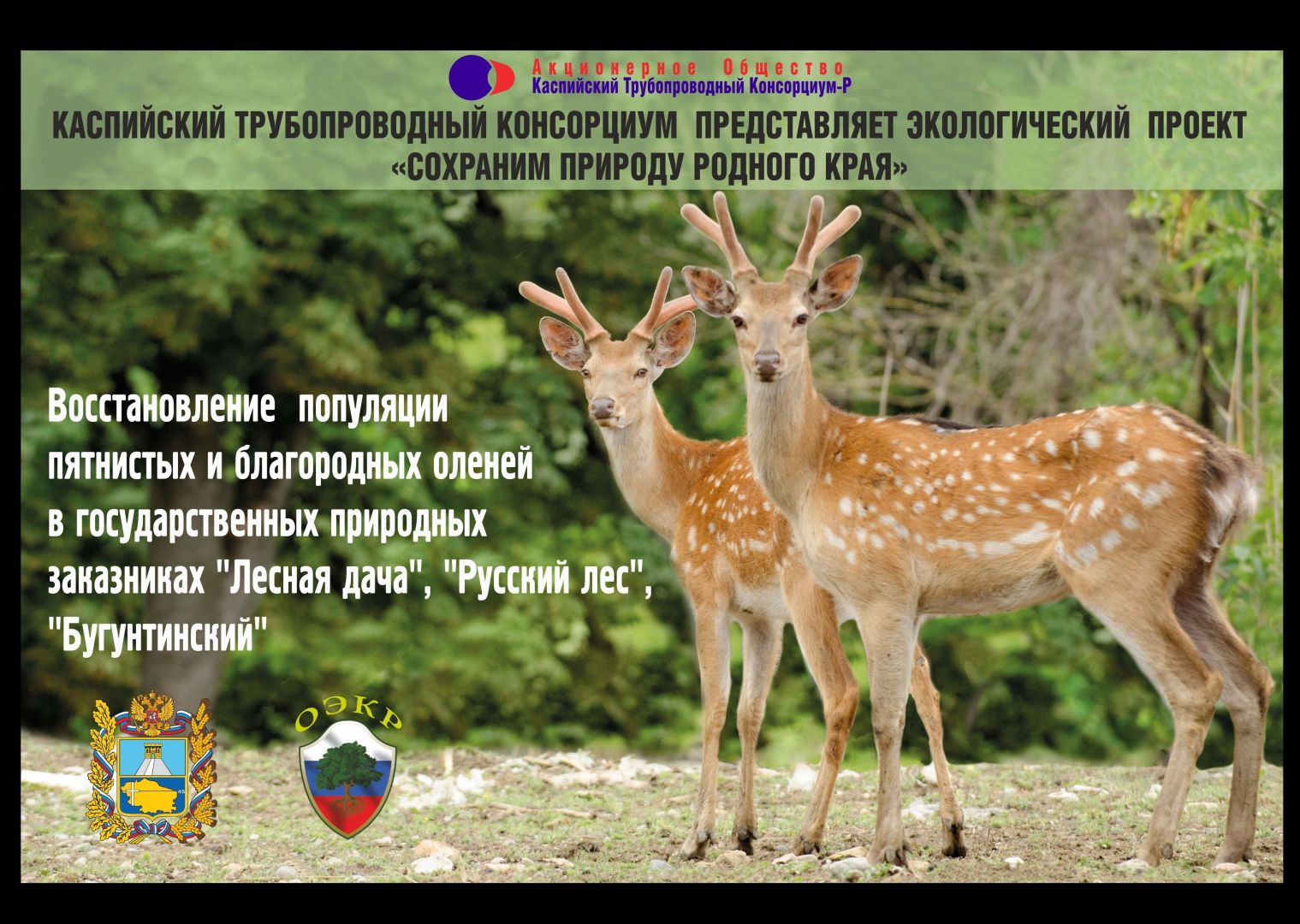 В Ставропольском крае реализуется экопроект «Сохраним природу родного края» В Ставропольском крае реализуется экопроект «Сохраним природу родного края»