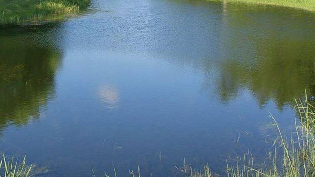 На Ставрополье в водоёме утонул 5-летний мальчик На Ставрополье в водоёме утонул 5-летний мальчик