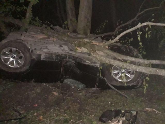 Под Ставрополем БМВ Х5 столкнулось с деревом: погибли 2 человека Под Ставрополем БМВ Х5 столкнулось с деревом: погибли 2 человека