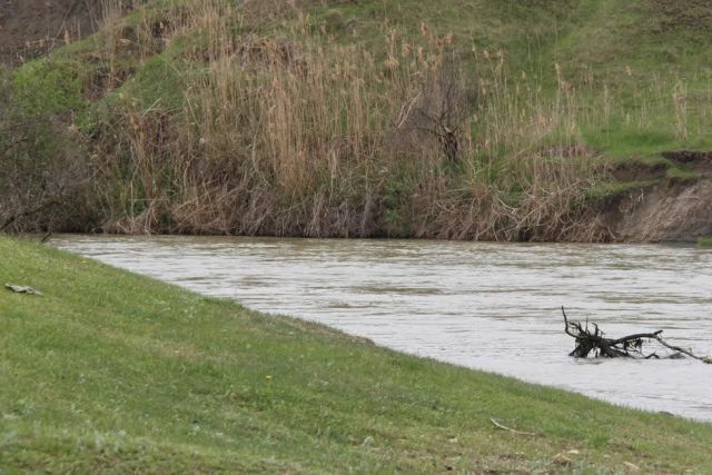 МЧС Ставрополья: Уровень воды в Кубани снижается МЧС Ставрополья: Уровень воды в Кубани снижается