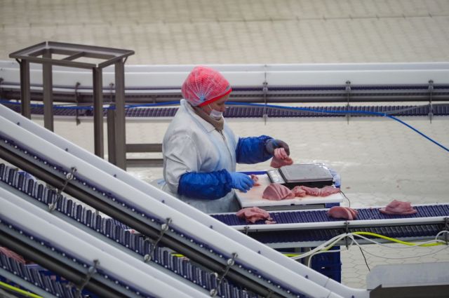 На Ставрополье построят крупнейший в России комплекс по производству баранины На Ставрополье построят крупнейший в России комплекс по производству баранины