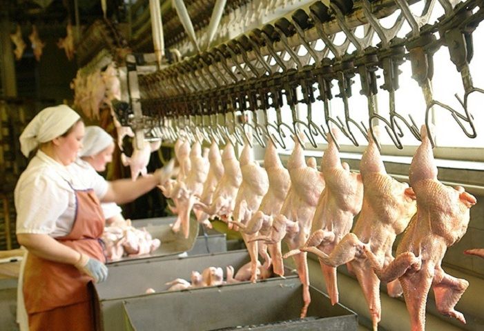 Ставрополье заняло 3 место в России по экспорту мясной продукции