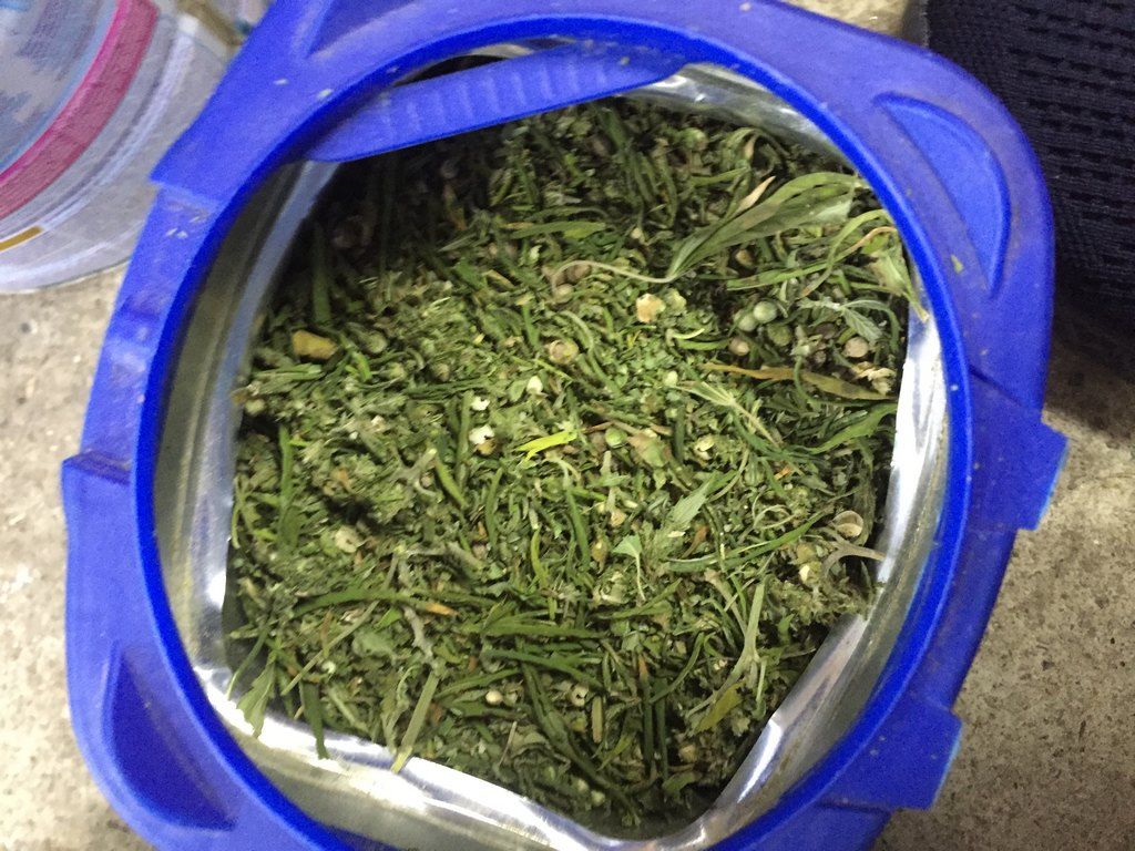 Более полукилограмма марихуаны изъяли у жителя Ставрополья Более полукилограмма марихуаны изъяли у жителя Ставрополья