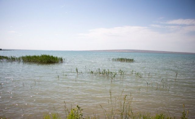 На Ставрополье реконструируют Грушевское водохранилище На Ставрополье реконструируют Грушевское водохранилище