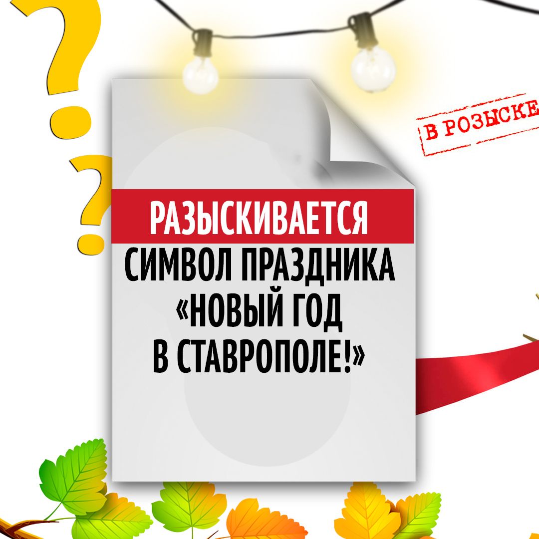 Жители Ставрополя выбирают символ Нового 2019 года Жители Ставрополя выбирают символ Нового 2019 года