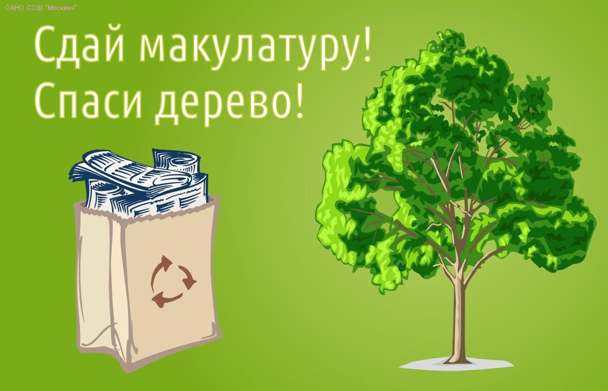 Ставропольцев просят присоединиться к эко-марафону «Сдай макулатуру — спаси дерево!» Ставропольцев просят присоединиться к эко-марафону «Сдай макулатуру — спаси дерево!»