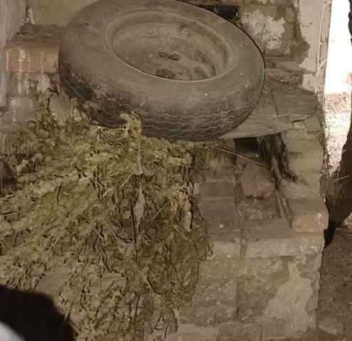 Ставрополец незаконно хранил дома наркосодержащие растения и марихуану Ставрополец незаконно хранил дома наркосодержащие растения и марихуану