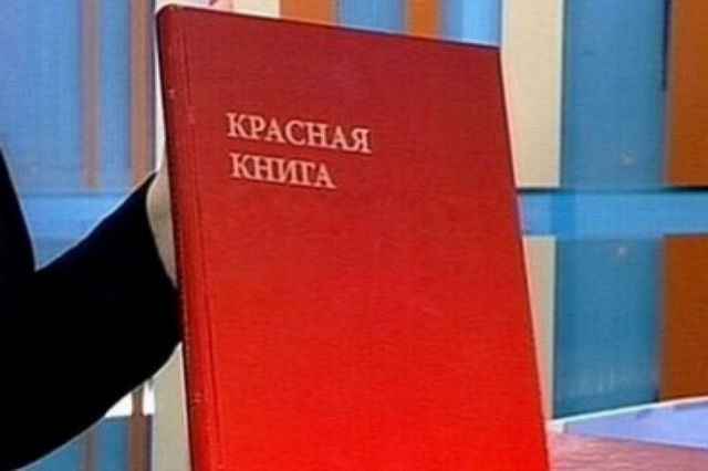 В Ставропольском крае двое предпринимателей незаконно содержали краснокнижных птиц В Ставропольском крае двое предпринимателей незаконно содержали краснокнижных птиц