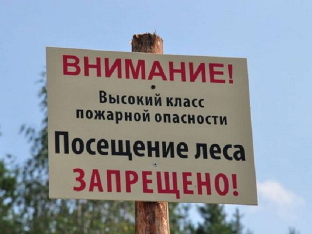 Ставропольцам запретили посещать леса Ставропольцам запретили посещать леса