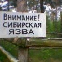 МЧС предупреждает о возможности вспышки сибирской язвы МЧС предупреждает о возможности вспышки сибирской язвы