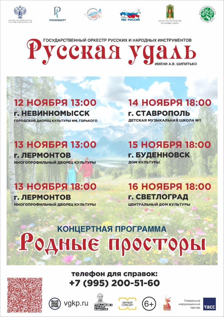 Оркестр русских народных инструментов «Русская удаль» выступит в Ставрополе