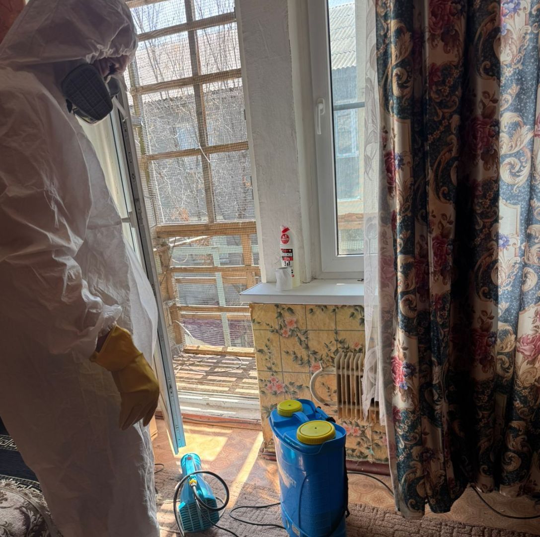 Суд выступил против голубятни в Минводах