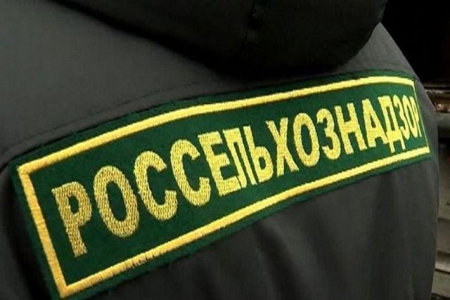 На Ставрополье предприниматель реализовывал мясо, полуфабрикаты и мороженое с фантомной площадки На Ставрополье предприниматель реализовывал мясо, полуфабрикаты и мороженое с фантомной площадки