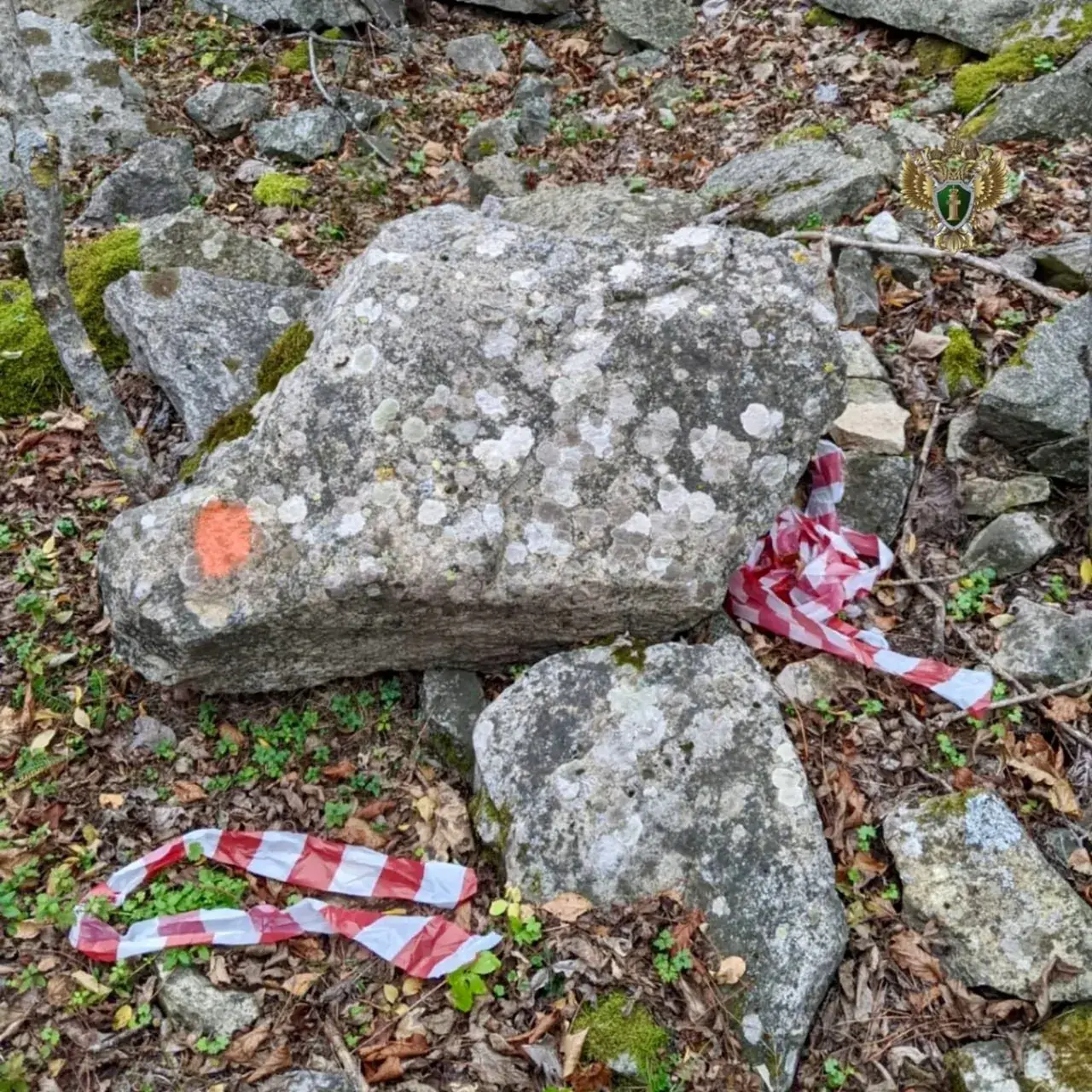 На Ставрополье организатора эко-акции оштрафовали за свалку в природном заказнике