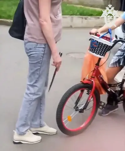 Уголовное дело завели на ставропольчанку после её угроз ножом шумящим детям