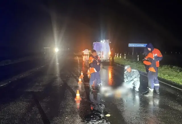 На Ставрополье большегруз насмерть сбил человека