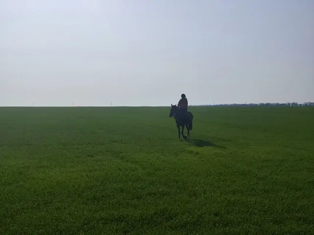 В Ставрополе волонтеры расскажут о поисках людей на лошадях
