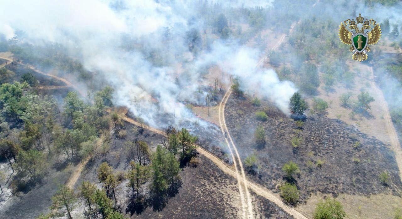 На Ставрополье наказали виновных в пожаре на горе Куцай